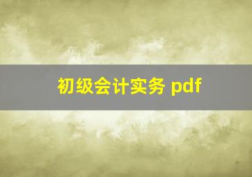 初级会计实务 pdf